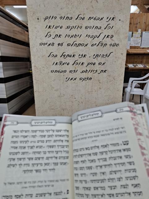 צילום מציון מוהרא"ש ביבנאל