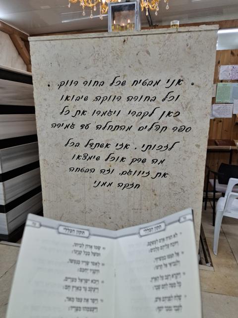 צילום מציון מוהרא"ש ביבנאל